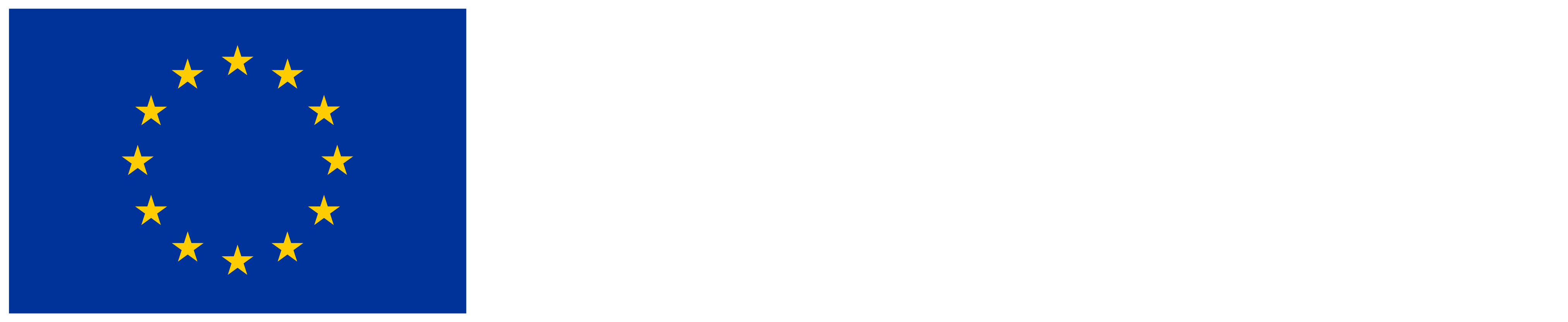 EU Logo